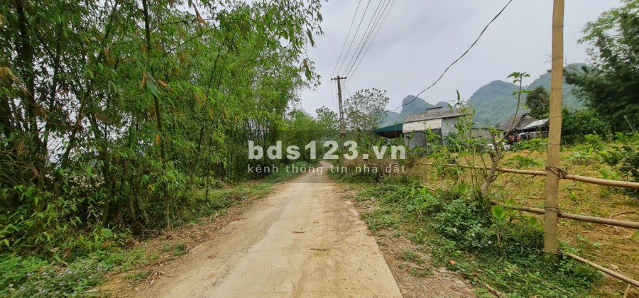 siêu phẩm ngon bổ rẻ cho các nhà đầu tư giá chỉ 1.14 tỷ pháp lý chuẩn, sổ đỏ lâu dài