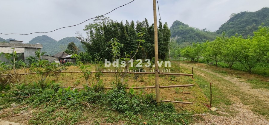 siêu phẩm ngon bổ rẻ cho các nhà đầu tư giá chỉ 1.14 tỷ pháp lý chuẩn, sổ đỏ lâu dài