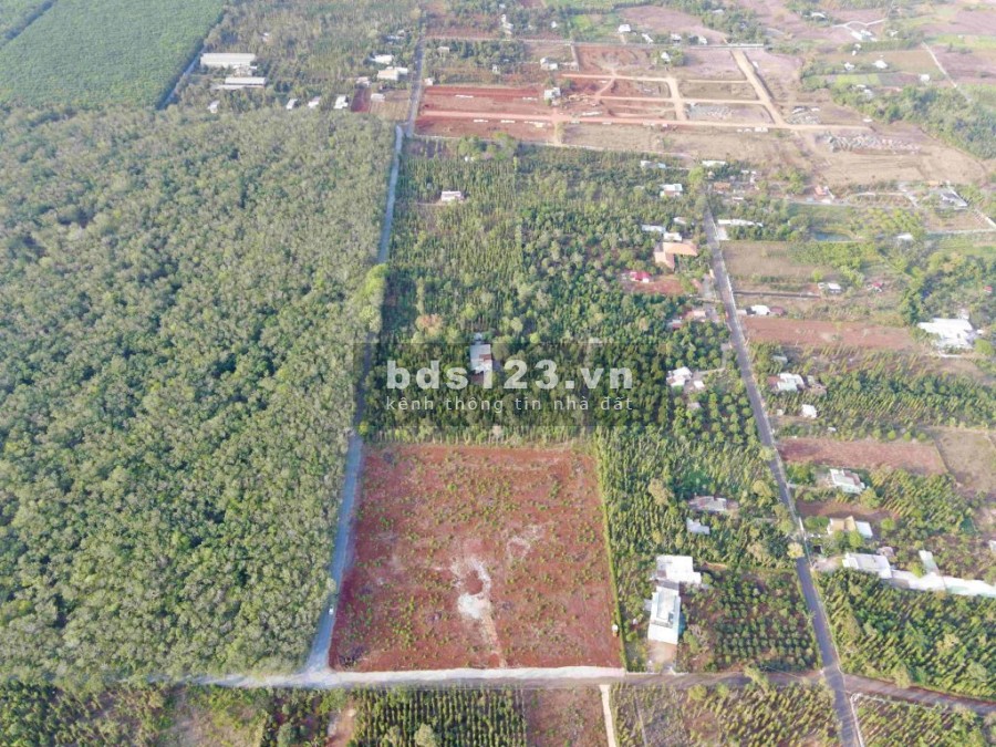 Bán đất nền giá rẻ có thổ cư huyện Châu Đức, đã có sổ hồng, sang tên công chứng liền tay