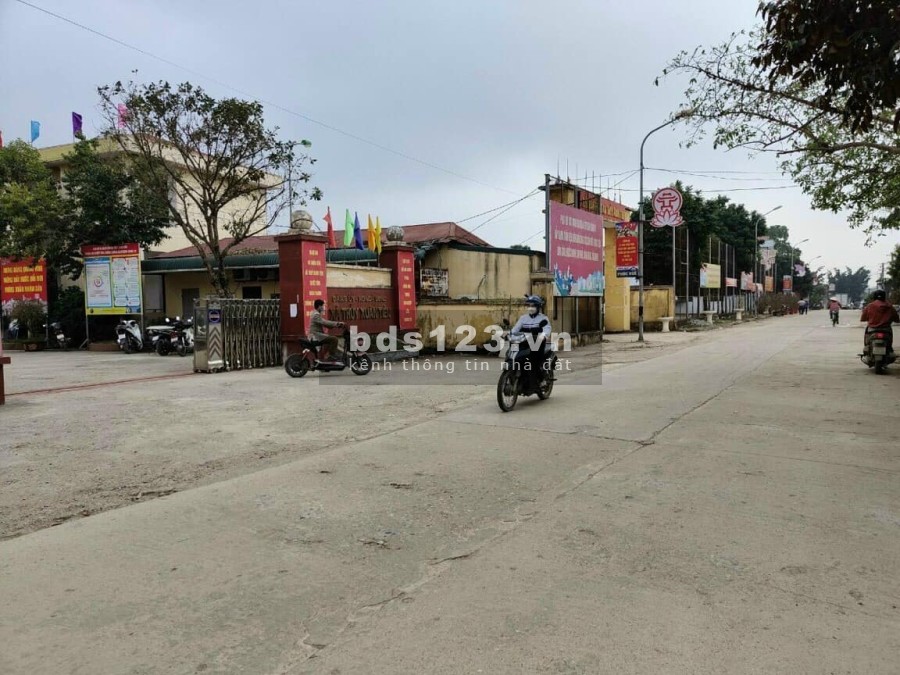 Bán đất diện tích 242m2 Thủy Xuân Tiên Chương Mỹ Gà Nội giá bán chỉ 7 triệu/m2