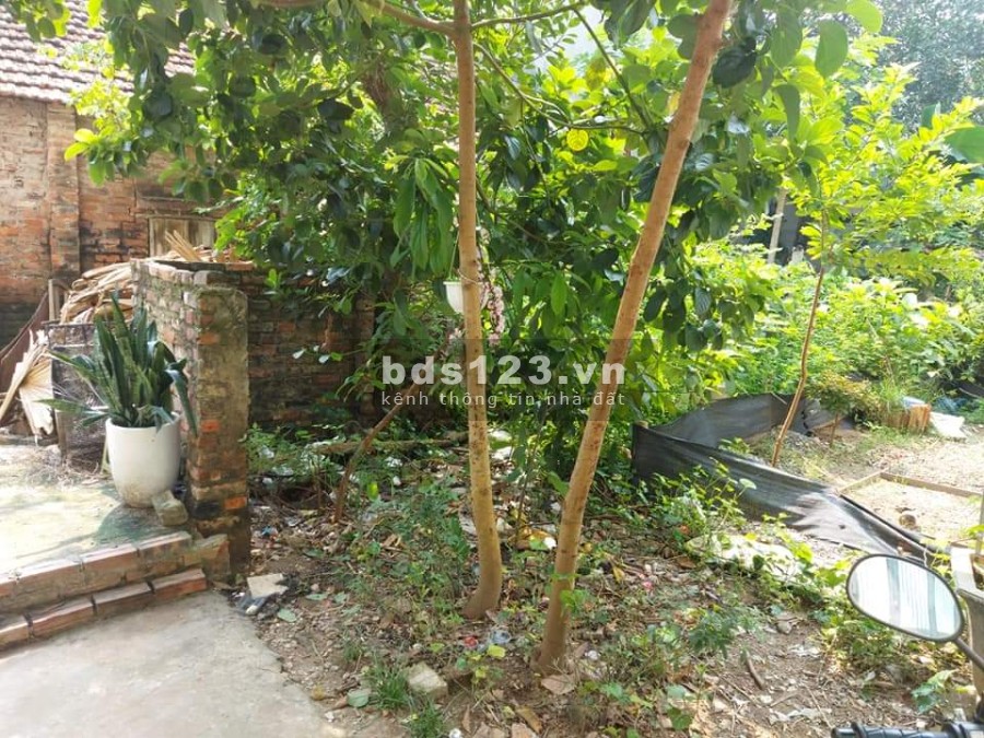 Bắc Cầu đất nhỏ tiền vuông đẹp 30m ô tô tránh, diện ích 34m2, mt 4.3m, giá 1.35 tỷ