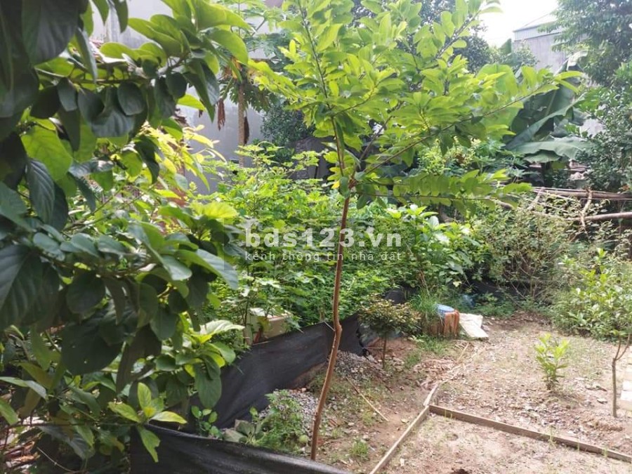 Bắc Cầu đất nhỏ tiền vuông đẹp 30m ô tô tránh, diện ích 34m2, mt 4.3m, giá 1.35 tỷ