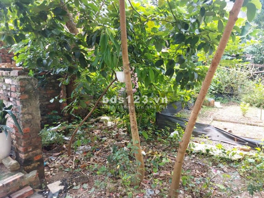 Bắc Cầu đất nhỏ tiền vuông đẹp 30m ô tô tránh, diện ích 34m2, mt 4.3m, giá 1.35 tỷ