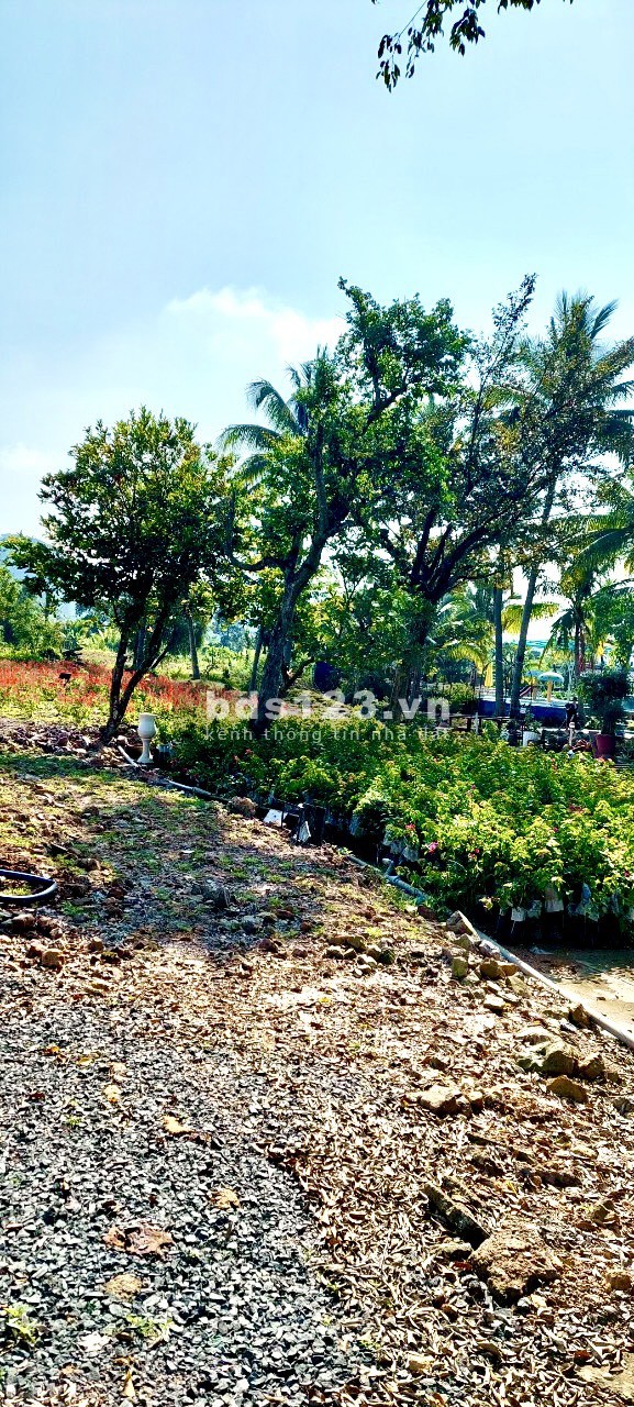 Đất khu dân cư My Garden, ngay Trung Tâm TT Đinh Văn – Lâm Hà, 120m2 giá chỉ 1.x