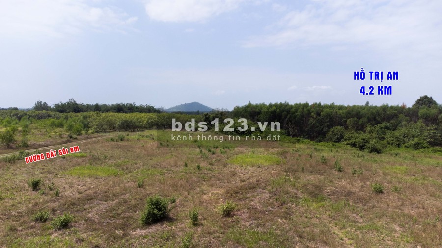 Cần bán gấp 2000m2 (2 sào) 100m thổ cư view Suối tại Xã Thanh Sơn - Định Quán - Đồng Nai Giá Rẻ