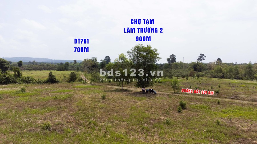 Cần bán gấp 2000m2 (2 sào) 100m thổ cư view Suối tại Xã Thanh Sơn - Định Quán - Đồng Nai Giá Rẻ