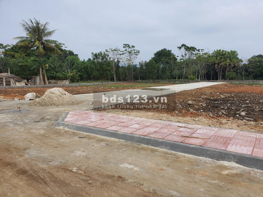 Bán đất nền đầu tư giá rẻ tại Yên Mỹ diện tích lớn, gần khu công nghiệp đường rộng
