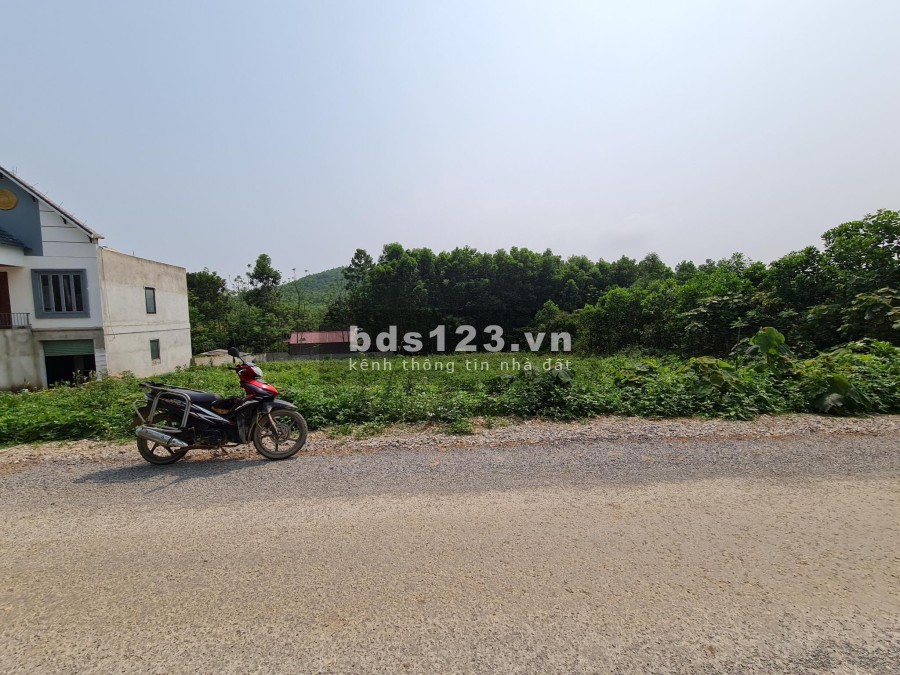Bán đất nền đầu tư giá rẻ tại Yên Mỹ diện tích lớn, gần khu công nghiệp đường rộng