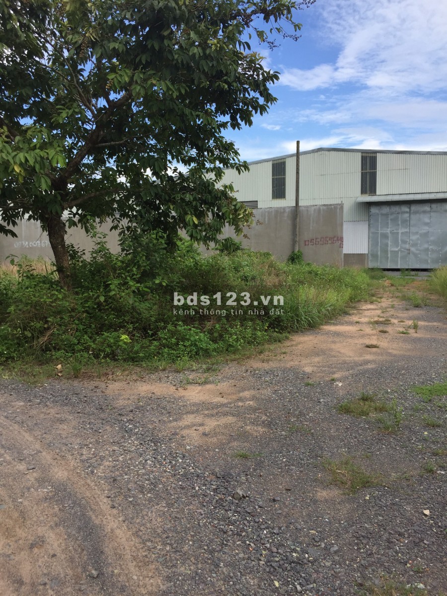 Bán đất đẹp full thổ cư 208m2 Tam Phước, Biên Hòa, Đồng Nai, giá rẻ đầu tư