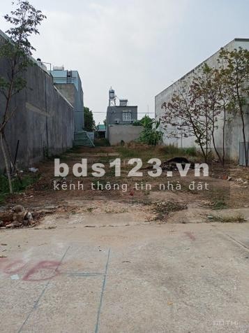chính chủ bán gấp đất 300m như ảnh và căn nhà nhỏ dân cư đông đúc,+ căn trọ 16p đang cho thuê