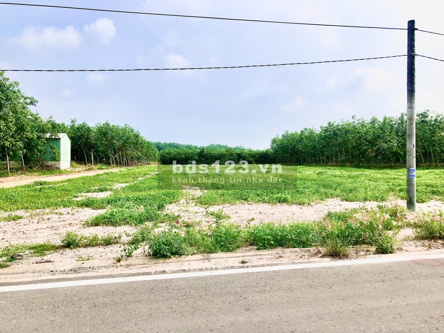 Bán lô đất nền thị trấn Chơn Thanh, Bình Phước, bàn gio sổ có sẵn, pháp lý chuẩn