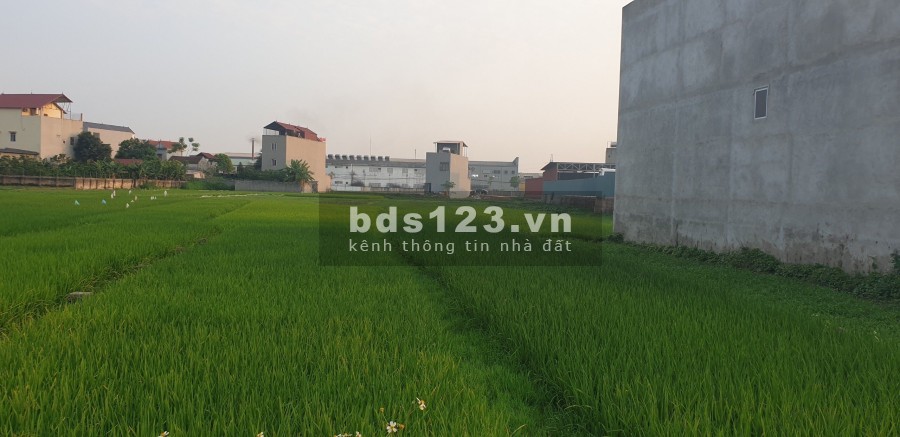 Full thổ cư 100m đón đường 16m siêu to. Không mua lô này là tiếc giá tốt đầu tư