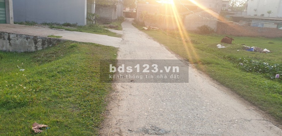 Full thổ cư 100m đón đường 16m siêu to. Không mua lô này là tiếc giá tốt đầu tư