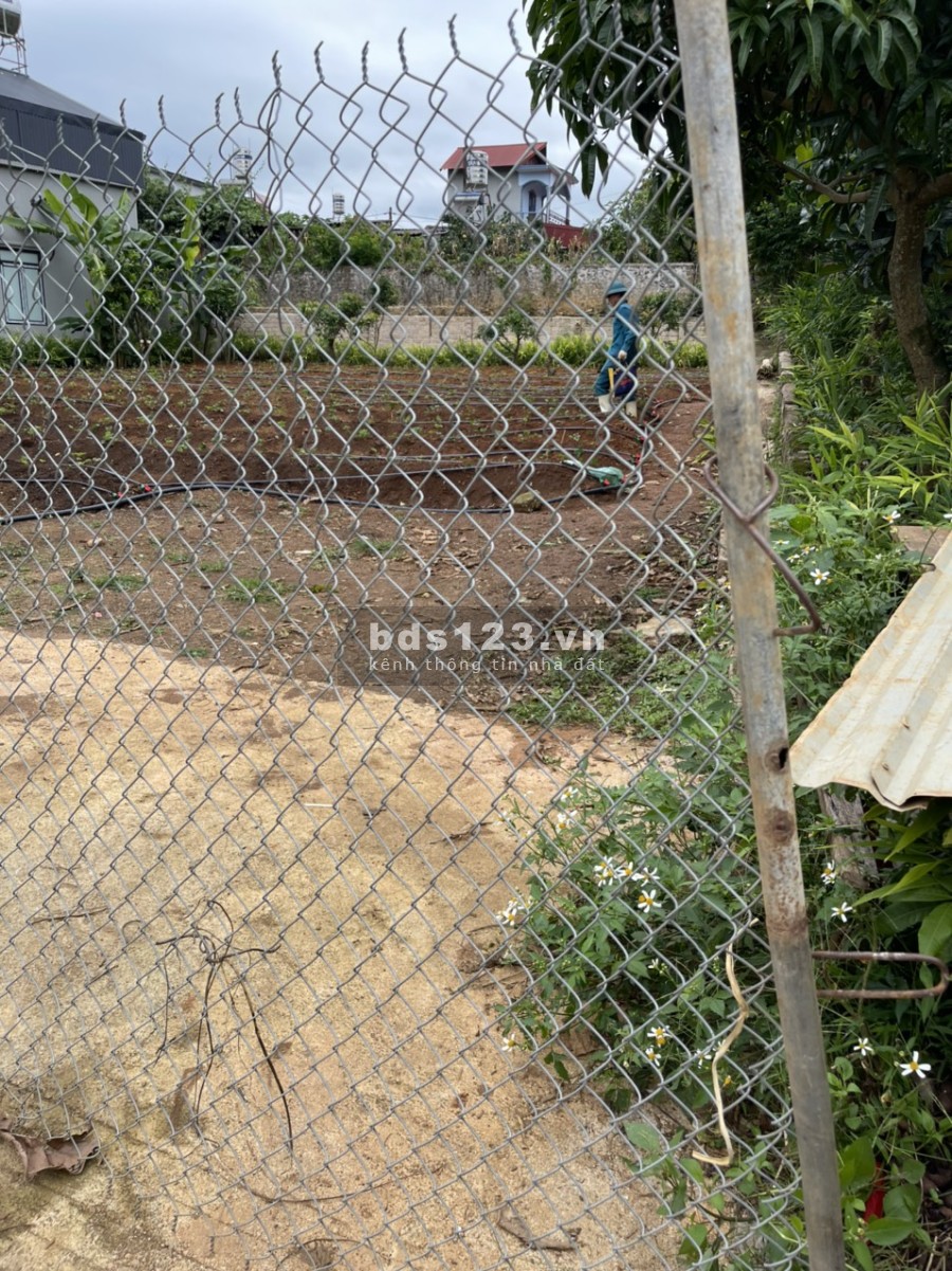Muốn bán lô đất Tiểu Khu Vườn Đào Thị trấn Nông trường Mộc Châu, lh 0362170899