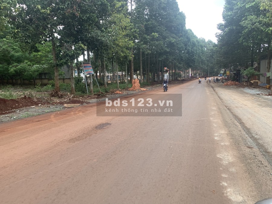 Bán đất thổ cư giá siêu hấp dẫn chỉ 550 triệu tại Hớn Quản Bình Phước, pháp lý đủ