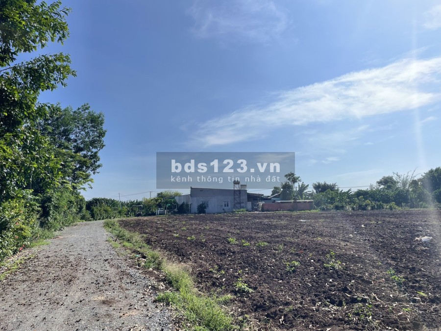 Bán đất sào giá rẻ sân bay Long Thành, pháp lý chuẩn, hạ tầng hoàn thiện đất thổ cư