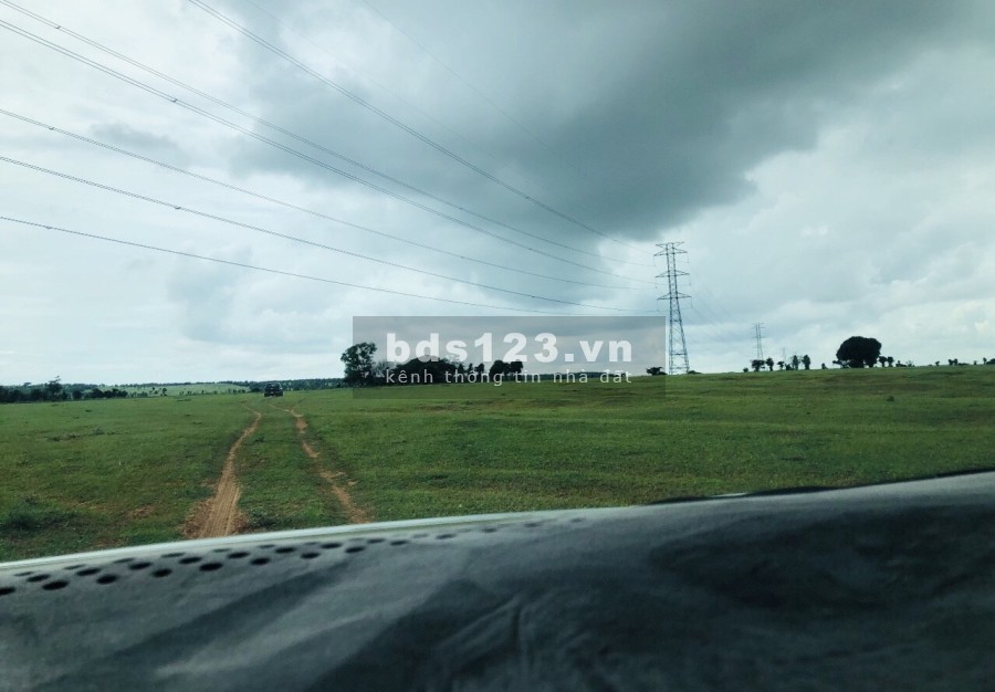 Bán đất cực đẹp giá rẻ gần trang trại 128m mặt tiền đường ô tô ra vào thoải mái, lhcc