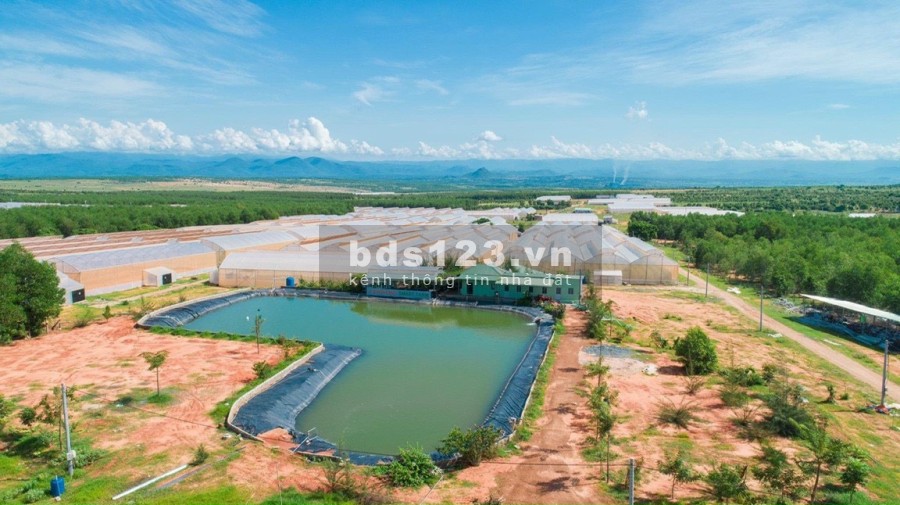 Bán đất cực đẹp giá rẻ gần trang trại 128m mặt tiền đường ô tô ra vào thoải mái, lhcc