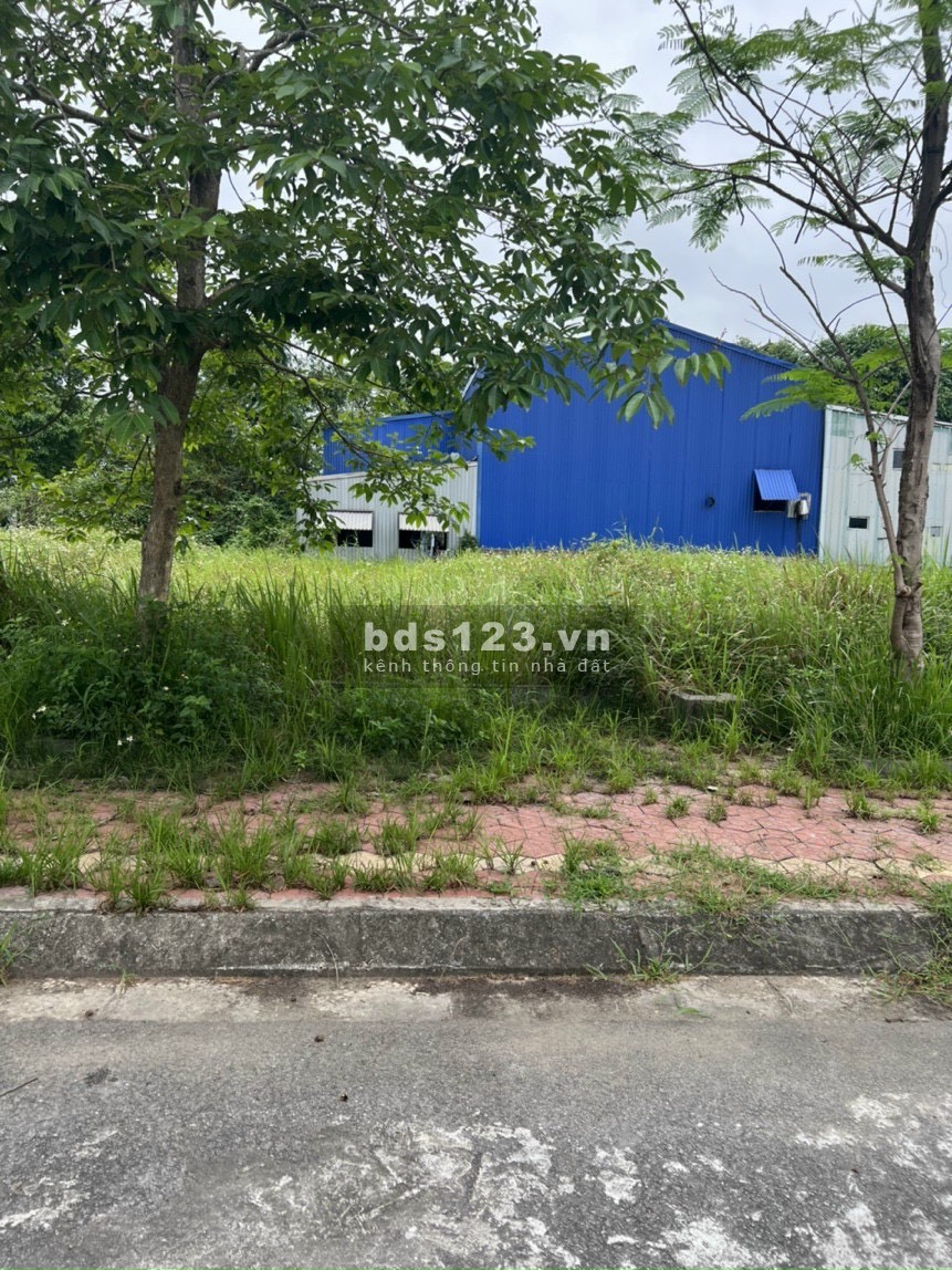 2 lô giá hấp dẫn nhất New City Phố Nối chỉ hơn 14tr/m lh 0799863888