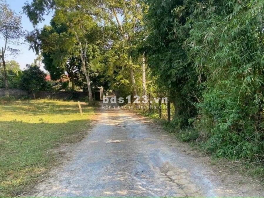 Lương Sơn vùng đất cửa ngõ giàu tiềm năng vị trí đẹp, liên hệ 0966964606 giá đầu tư