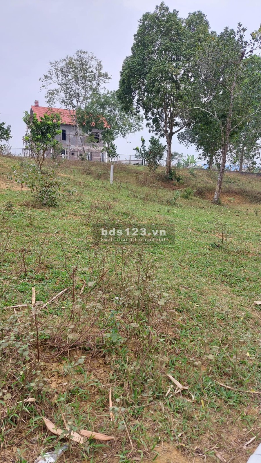 Lương Sơn vùng đất cửa ngõ giàu tiềm năng vị trí đẹp, liên hệ 0966964606 giá đầu tư