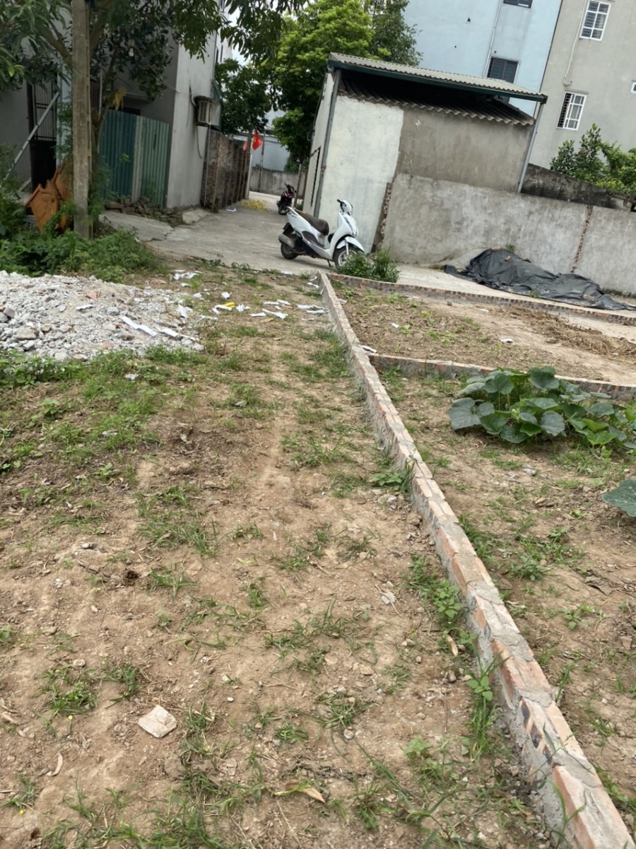 Bán đất phân lô Ngọc Hồi, ngõ tô tô vào tận cửa, khu an sinh đỉnh, giá tốt đầu tư sinh lời