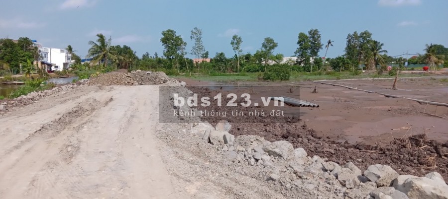 Dãy trọ Long An 9 phòng cần sang gấp nền đất cao, không ngập nước, khu dân cư đông
