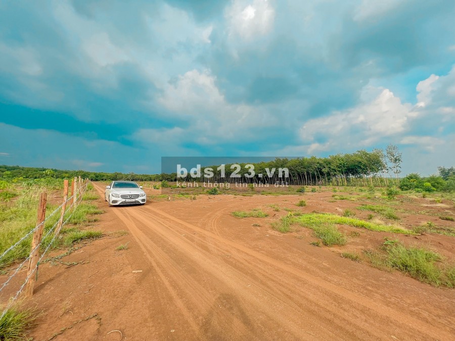 Bán đất xào 1.000m2 Tại Đồng Xoài chỉ 468 triệu, pháp lý chính chủ bàn giao ngay