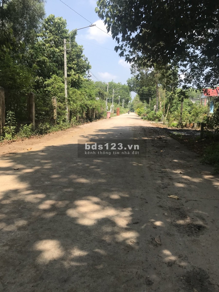 Bán gấp 1121m2 Bàu Bàng giá 540 triệu, sổ hồng sẵn.