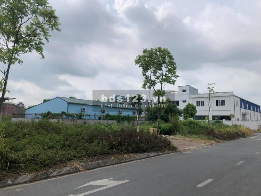 Chính chủ cần bán lô đất làng nghề Kiêu Kỵ, Gia Lâm, 244m cơ hội đầu tư tiềm năng