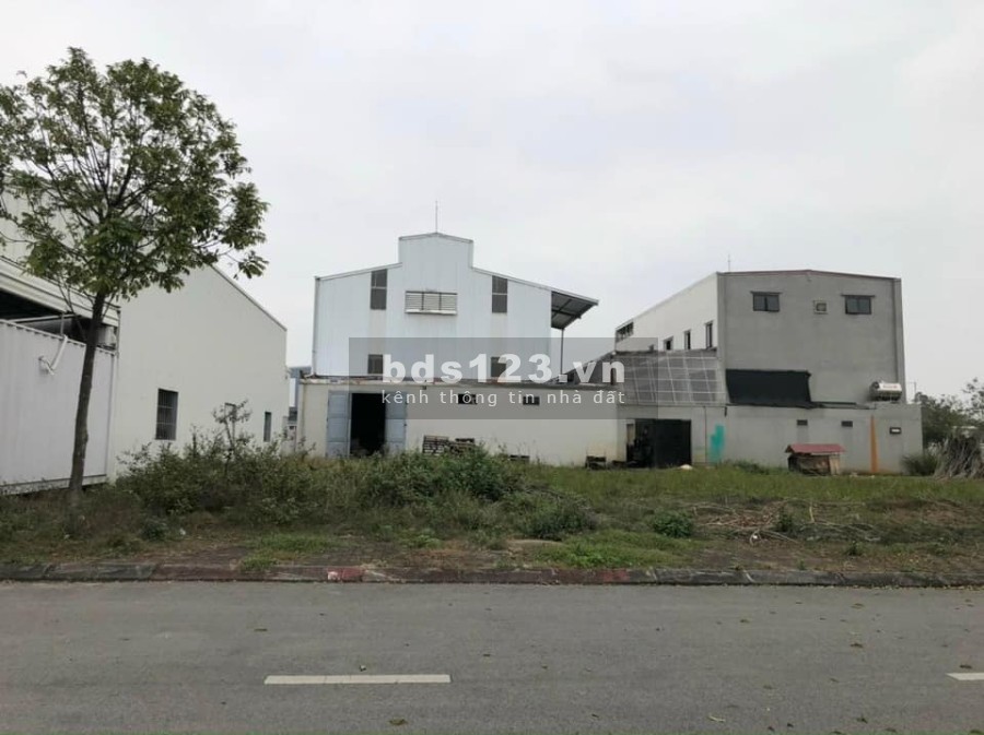 Chính chủ cần bán lô đất làng nghề Kiêu Kỵ, Gia Lâm, 244m cơ hội đầu tư tiềm năng