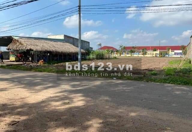 Mua bán bất động sản, cho thuê nhà xưởng, cho thuê nhà nguyên căn, bán nhà