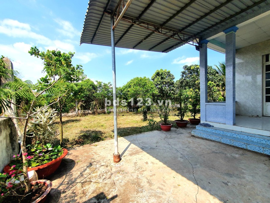 Bán lô đất ở Cần Giuộc, có cả thổ và vườn (607m2), cách Quận 8 20 phút