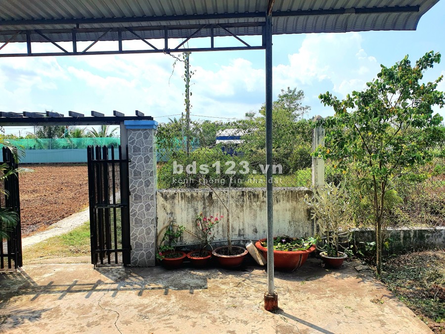 Bán lô đất ở Cần Giuộc, có cả thổ và vườn (607m2), cách Quận 8 20 phút