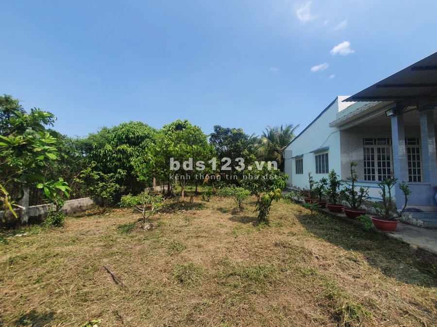 Bán lô đất ở Cần Giuộc, có cả thổ và vườn (607m2), cách Quận 8 20 phút