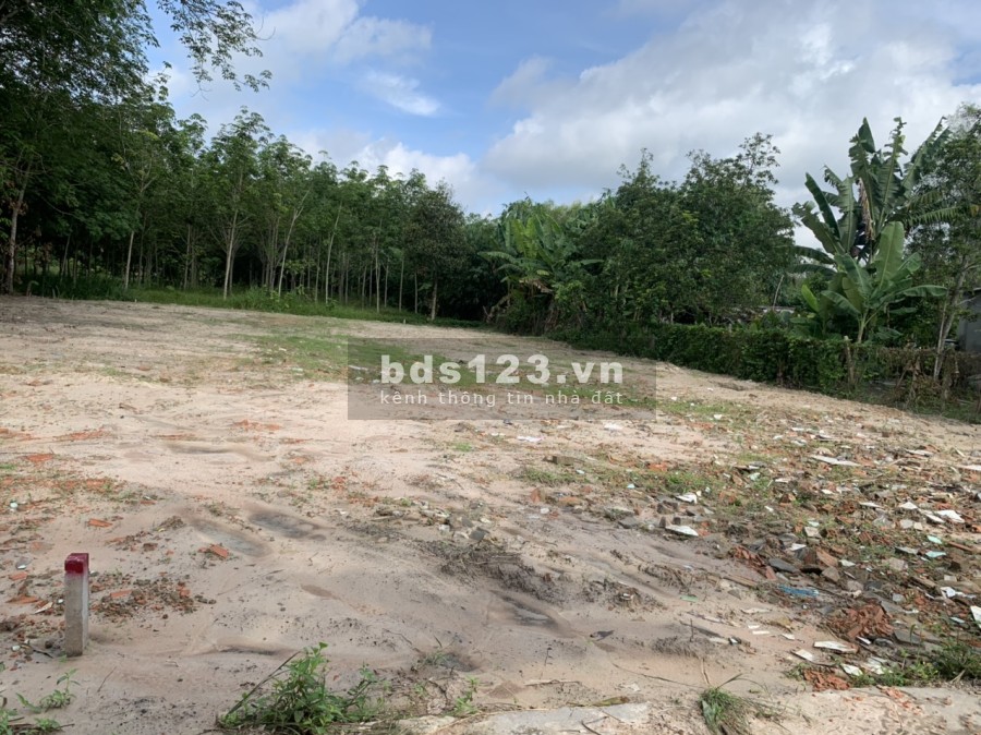 Bán đất diện tích 200m2 (5x40), đường 8m thông, xe qua lại đông đúc, giá tốt đầu tư sinh lời
