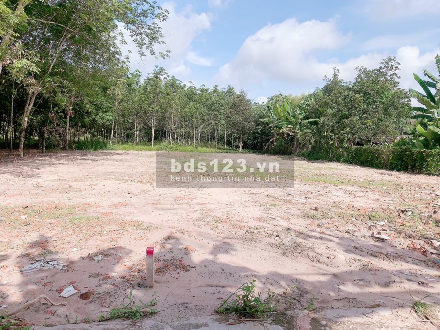 Bán đất diện tích 200m2 (5x40), đường 8m thông, xe qua lại đông đúc, giá tốt đầu tư sinh lời