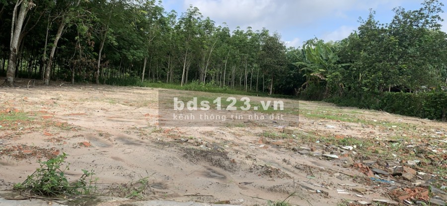 Bán đất diện tích 200m2 (5x40), đường 8m thông, xe qua lại đông đúc, giá tốt đầu tư sinh lời