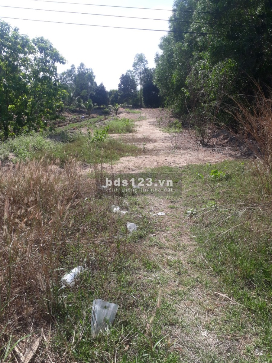 510m2 mặt tiền Quốc Lộ N2, ngang 10x51m. Thạnh Lợi Bến Lức liên hệ 0911676338