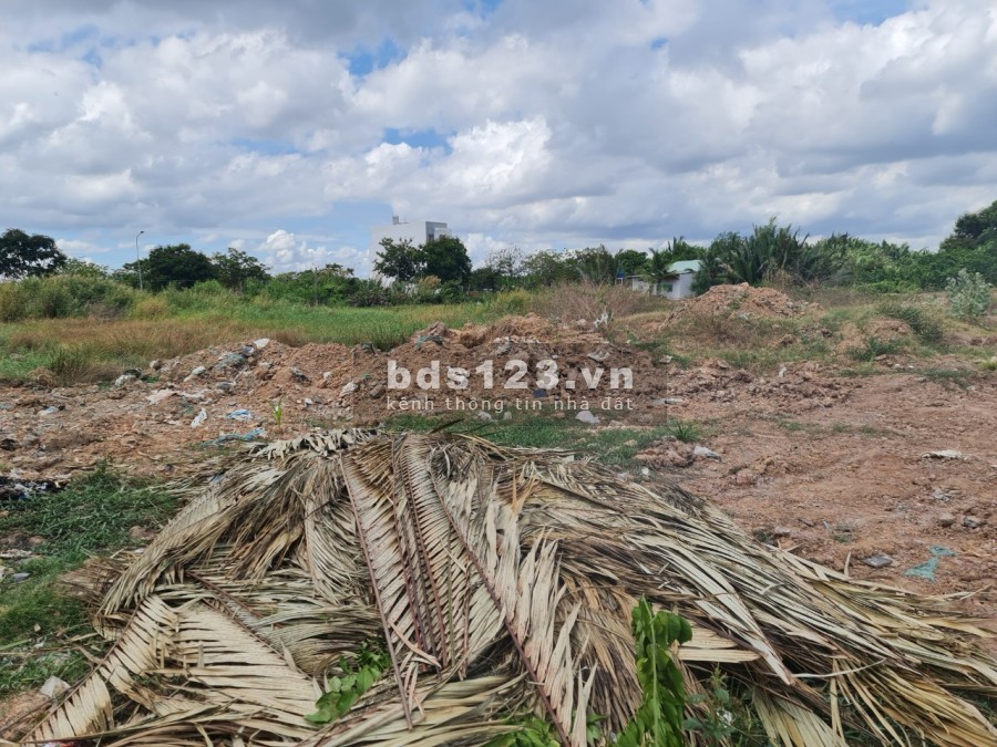 Cho thuê mặt bằng trống 10.000m2 mặt tiền Trường Lưu, Long Trường, Quận 9, TP.HCM