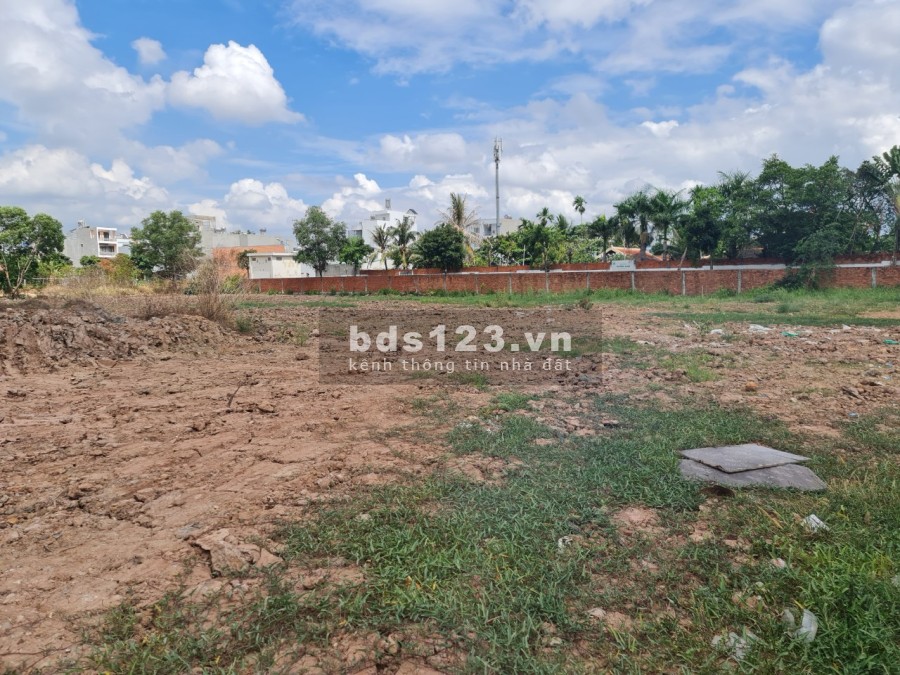 Cho thuê mặt bằng trống 10.000m2 mặt tiền Trường Lưu, Long Trường, Quận 9, TP.HCM