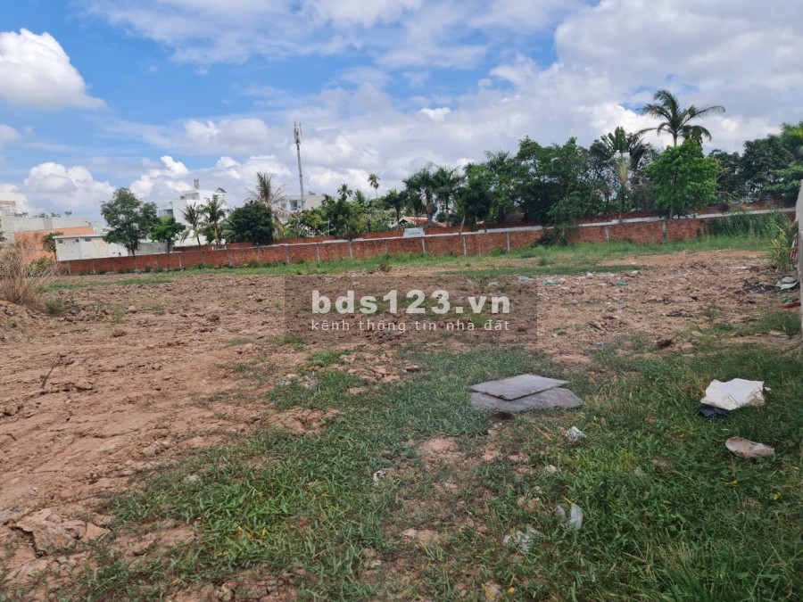 Cho thuê mặt bằng trống 10.000m2 mặt tiền Trường Lưu, Long Trường, Quận 9, TP.HCM