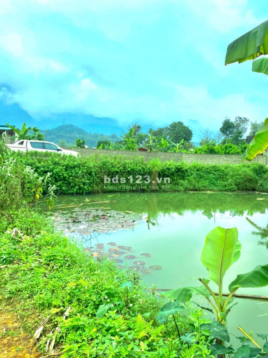 Bán đất đẹp giá rẻ Tân Lạc Hoà Bình, giá bán hơn 500 triệu, tiện đầu tư sinh lời