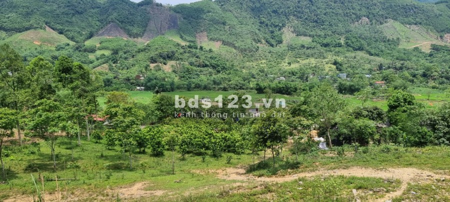 Siêu phẩm tuyệt đẹp thị trấn Đà Bắc cách thành phố 20km liên hệ 0978116550
