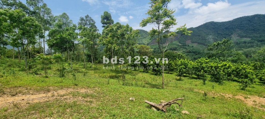 Siêu phẩm tuyệt đẹp thị trấn Đà Bắc cách thành phố 20km liên hệ 0978116550