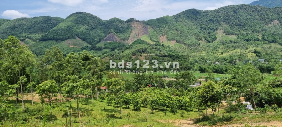 Siêu phẩm tuyệt đẹp thị trấn Đà Bắc cách thành phố 20km liên hệ 0978116550
