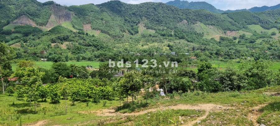 Siêu phẩm tuyệt đẹp thị trấn Đà Bắc cách thành phố 20km liên hệ 0978116550