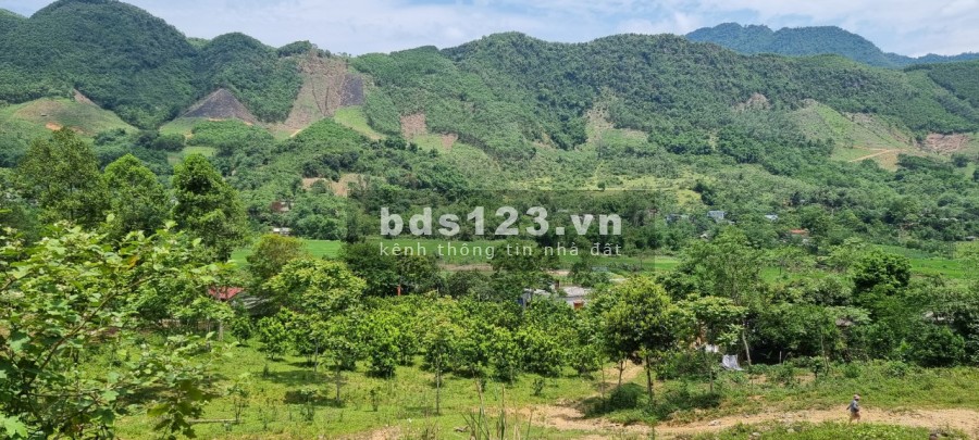 Siêu phẩm tuyệt đẹp thị trấn Đà Bắc cách thành phố 20km liên hệ 0978116550