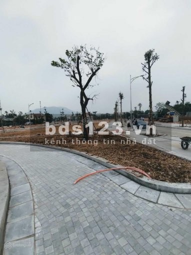 Cực sốc dự án 9 Downtown Hòa Bình CK 7%. Đầu tư ngay để có cơ hội lợi nhuận vàng trong năm 2022
