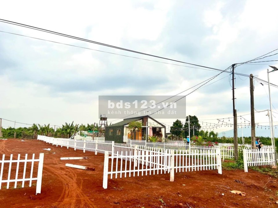 Đất nền 2 mặt tiền có sổ ven quốc lộ 19 Gia Lai giá tốt chỉ 5,2 triệu/m2 đầu tư sinh lời